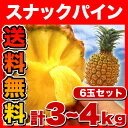 《送料無料》沖縄県石垣島産　スナックパイン6玉 計3.0-4...