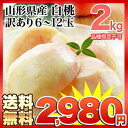 《送料無料》山形県松ヶ岡産 白桃2kg箱(6-12玉) 訳あり(品種指定不可)予約受付中！7月下旬-9月上旬頃のお届け