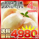 《送料無料》山形県松ヶ岡産 白桃4kg(2箱12-24玉) ...