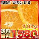 《送料無料》訳あり 甘夏 愛媛県産あまなつ3.0kg箱(9-...