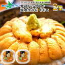 北海道 ウニ うにギフト用 函館うに専門店 むらかみ 塩水生...