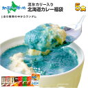 北海道 クリシュナ 流氷カリー入り カレー福袋 お楽しみ食べ...