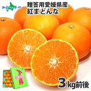 紅まどんな 3kg前後(12-16玉) ギフト みかん 贈答用 愛媛県産 秀品 高級 柑橘 オレンジ みかん ミカン 蜜柑 紅マドンナ 産地直送 産直 旬の果物 フルーツ ギフト 贈り物 御歳暮 お歳暮 みかん お取り寄せ グルメ orange fruit 愛媛 みかん 送料無料◆出荷予定:12月中旬