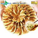 餃子 ぎょうざ おつまみ お取り寄せ餃子 冷凍餃子 国産野菜 60個 中華 点心 中華惣菜 6人前 餃子パーティー パーティー 大人数 冷凍 業務用