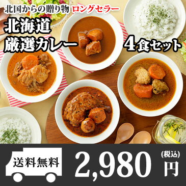 北海道スープカレー4食セット（北国チキンレッグ/南家/天竺/ココナッツ）業務用パッケージ/カレー セット/レトルト/レトルトカレー/レトルト食品/スープカレー/チキンカレー/詰め合わせ/お取り寄せ　送料無料