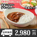 南家チキンカレー4食セット 業務用パッケージ/カレー セット...