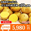 北海道産 じゃがいも インカのめざめ S-Lサイズ 10kg前後 送料無料 ◆出荷予定:10月中旬-11月上旬 /ジャガイモ/じゃが芋