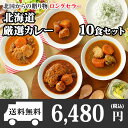 北海道スープカレー10食セット(北国チキンレッグ×2食/南家×2食/天竺×2食/ココナッツ×2食/ランダム2食)業務用パッケージ/カレー セット/レトルト/レトルトカレー/レトルト食品/スープカレー/チキンカレー/詰め合わせ/お取り寄せ 送料無料