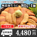 北海道 ウニ うに むらかみ塩水生うに80g 訳あり/生ウニ...