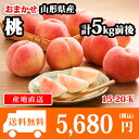 山形県産 桃 約5kg(15-20玉) 送料無料