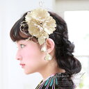 髪飾り 2点セット 金 ゴールド 水引 メッシュ コーム Uピン 髪留め ヘアアクセサリー 袴 浴衣 着物 振袖 成人式 卒業式