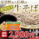 安曇野から信州の生そば4人前セットを打ったその日に発送♪なんと！安曇野産本わさび1本・北アルプス天然水・特製蕎麦つゆ付きで送料無料♪楽天ランキング326週イン！【お中元特集2012】【暑中見舞】【2sp_120810_green】