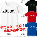 ■カーリング■人類の進化(EVOLUTION)■綿/ポリエス...