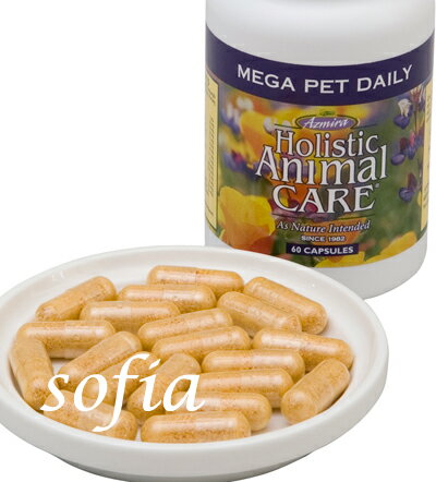 アズミラ　Azmiraメガペット　デイリー　90カプセル　（犬・猫用）　【サプリメント】【ビタミン&ミネラル】【ペットフード】