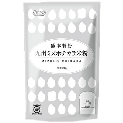 九州ミズホチカラ米粉 300g 熊本製粉 グルテンフリー 米粉 <strong>みずほちから</strong>【RH】パン用 米粉パン パン用米粉