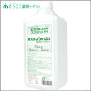 オスバンウオッシュ 詰替用 1L(1000ml) 武田薬品工業 【RH】