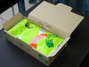 袋入り3本セット みどり