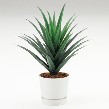 ̵ITOKIʥȡ˥ʿ͹ڡ˥ȥ H70cm ڼءա smtb-kۡw3