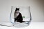 Cat・16 Iside-OLD