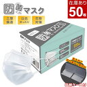 マスク 3980円以上で送料無料 収納 携帯用 ケース付き 防菌くん 50枚入 安心の日本JAN付 99%カットフィルター 立体3層不織布 ウィルス対策 プリーツ 大人用 使い捨て 衛生マスク ノーズワイヤー 使いすて 抗菌 PM2.5 ハウスダスト 衛生 飛沫 花粉症