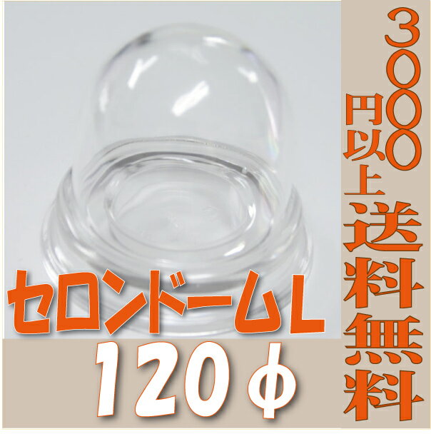 セロンドーム 120φ L 花器 フラワーベース 花瓶 陶器 資材 花材 皿 器 フラワーアレンジメント 3000円以上 送料無料 プリザーブドフラワー プリザ ブリザーブドフラワー ブリザードフラワー ブリザード フラワー 