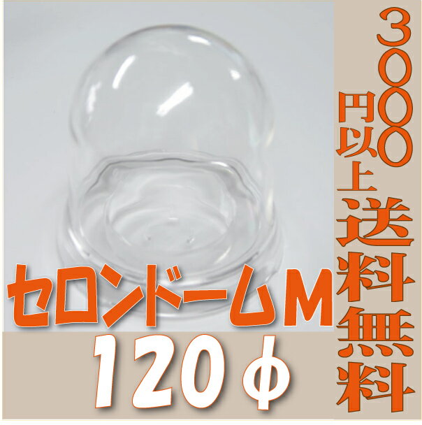 セロンドーム 120φ M 花器 フラワーベース 花瓶 陶器 資材 花材 皿 器 フラワーアレンジメント 3000円以上 送料無料 プリザーブドフラワー プリザ ブリザーブドフラワー ブリザードフラワー ブリザード フラワー 