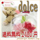 母の日 早割 ポイント10倍★Dolce ドルチェ プリザーブドフラワー ドーム 送料無料 カーネーション 2013 花 プレゼント 贈り物 送料無料  母の日 早割 期間限定 スペシャル企画☆ プリザーブドフラワー ドーム 送料無料 カーネーション 2013 花 プレゼント ギフト 贈り物