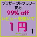 プリザーブドフラワー 花材 激安 福袋 ! レビューで1円 【01】