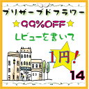 レビューで1円【14】