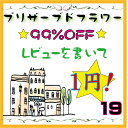 レビューで1円【19】プリザーブド　花材