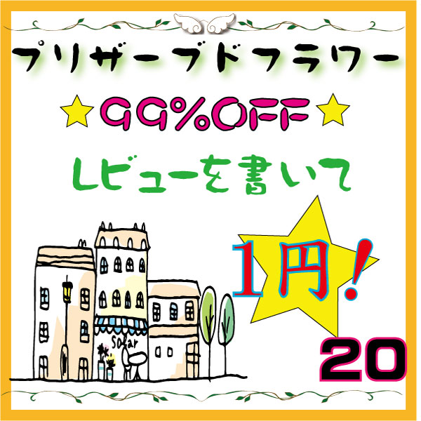 【20】レビューで1円 ポッキリ お試しセット 2012 プリザーブドフラワー 花材 福袋 通販限定 3000円以上 送料無料