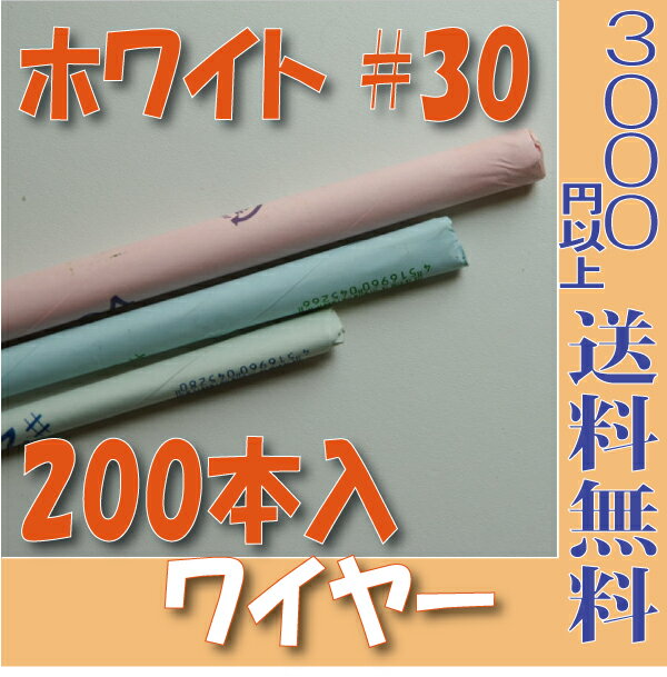 地巻ワイヤー ワイヤー 地巻＃30【大束】 （ホワイト200本入 プリザーブドフラワー 花材 フローリスト 資材 花資材 クラフト 材料 プリザ ブリザードフラワー ブリザード フラワー ブリザーブドフラワー 合計3000円以上 送料無料 