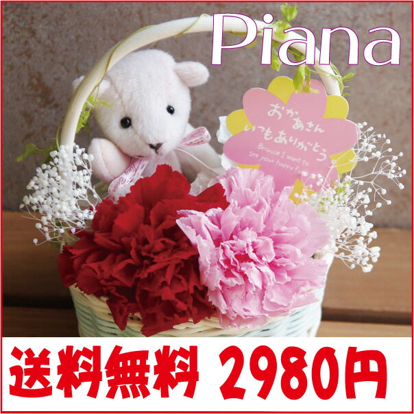 母の日 早割 送料無料 カーネーション 2012 花 プレゼント プリザーブドフラワー ピアナ(piana) テディベア プリザ ブリザードフラワー ブリザード フラワー ブリザーブドフラワー 12月 アレンジ ギフト 贈り物 送料無料 結婚式 祝電 電報 