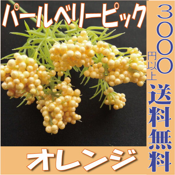 パールベリーピック オレンジ ブルー プリザーブドフラワー 花材 アレンジ 資材 アレンジメント 花資材 3000円以上 送料無料 ラッピング 用品 プリザ ブリザードフラワー ブリザード フラワー ブリザーブドフラワー 卸 東京堂