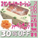 30%OFF J[l[V X^_[hyV[xbgIW P 6֓z vU[uht[ ԍ vU[uh AW  AWg Ԏ vU uU[ht[ uU[h t[ uU[uht[ yyΉ_֓z t[Go[