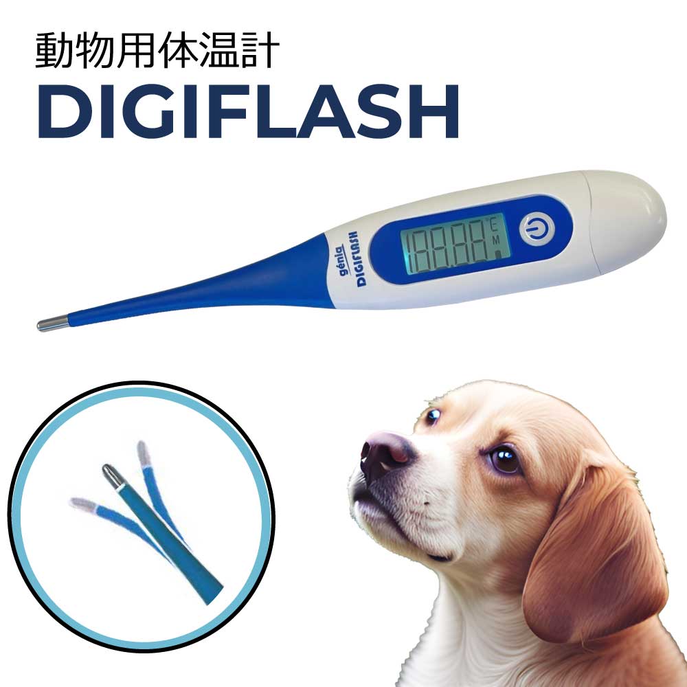 【1年保証】動物用 体温計 犬 猫 いぬ ねこ ペット デジタル 体温計 DIGIFLASH デジフラッシュ 健康管理 ネコ うさぎ 老犬 動物用体温計 体調管理 用品 グッズ ペットグッズ 老犬 介護 フェレット 防水 メモリー機能 おすすめ 犬用体温計 早い <strong>肛門</strong>