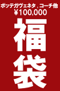 ☆個数限定☆【送料無料】【豪華10万円福袋】 ボッテガベネタ+フルラ+ヴィヴィアン+コーチetc入り