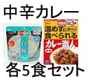 グリコ 常備用カレー職人【中辛】マジックライス白飯各5食セット