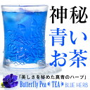 【ハーブティーランキング 第1位】美人をつくる青いお茶 バタフライピー100% ブルーハーブ ティー ( ティーバッグ 2g× 8個入 )× 2袋セット <ノンカフェイン・無着色・無添加・無農薬>【メール便対応】