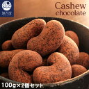 生カシューチョコ クラフトジップタイプ 100g×2個セット