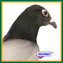 HANSA ハンサ ぬいぐるみ6299 鳩 ハト 29 PIGEON