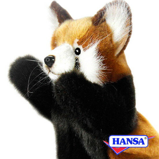 HANSA nT ʂ4027 nhpybg bT[p_ REDPANDA