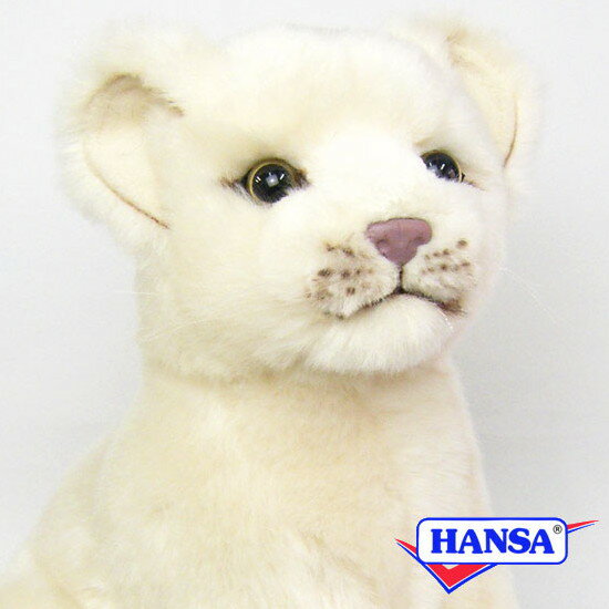 HANSA nT ʂ6362 zCgCI̎e WHITE LION CUB SITING