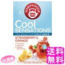 【送料無料】 ポンパドール クールセンセーション ストロベリー&オレンジ 18袋入【20箱組】【一度開封後平たく再梱包】■ 日本緑茶センター 水出し 紅茶 ハーブティー ティーバック