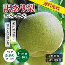 【送料無料】訳あり 梨 10kg 長野県産 幸水・豊水 ご自...