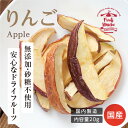 【国産】ドライフルーツりんご(林檎) 砂糖不使用 無添加 20g 長野 信州産 健康的でヘルシーな自然派おやつ ヨーグルトに かわいい プチギフト