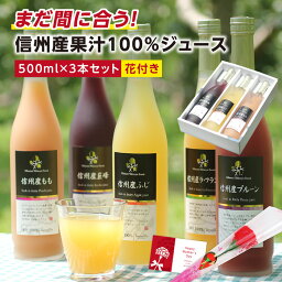 まだ間に合う 母の日 信州産 100％果物ジュース 3本 ギフト 花セット あす楽 <strong>国産</strong>原料のみ | 選べるギフト りんごジュース プルーンジュース ももジュース 洋なしジュース 王林 ストレートジュース含む 内祝 お祝い お礼 出産祝い 詰め合わせ ジュースセット プレゼント 2024