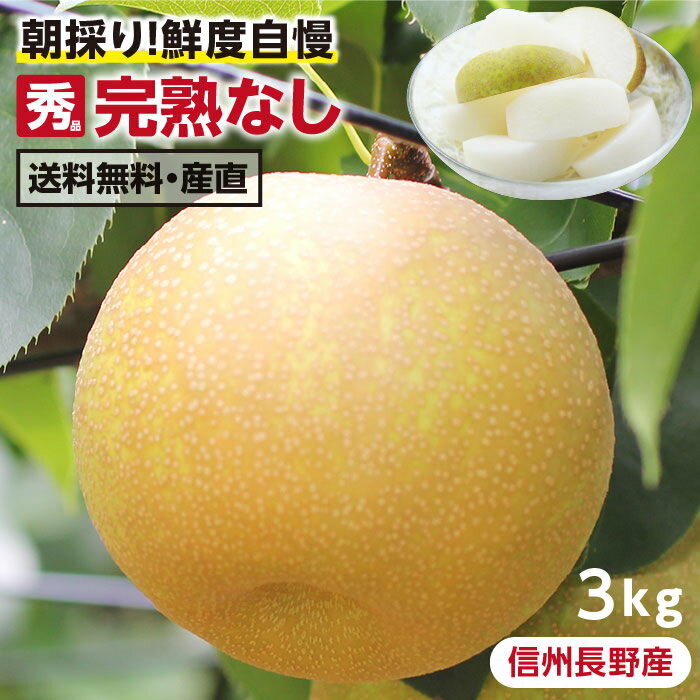 【送料無料】<strong>長野</strong>県産 梨 3kg 秀品 幸水 豊水 二十世紀 南水 完熟 <strong>なし</strong> 選べる品種｜和梨 こだわりの甘い梨 おいしい梨 旬の果物 お中元 ギフト 朝採り当日出荷 お取り寄せ フルーツ 産地直送 贈答用 プレゼント 国産 瑞々しい梨 農家限定 信州産