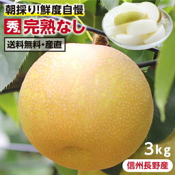 【送料無料】長野県産 梨 3kg 秀品 <strong>幸水</strong> 豊水 二十世紀 南水 完熟 なし 選べる品種｜和梨 こだわりの甘い梨 おいしい梨 旬の果物 お中元 ギフト 朝採り当日出荷 お取り寄せ フルーツ 産地直送 贈答用 プレゼント 国産 瑞々しい梨 農家限定 信州産