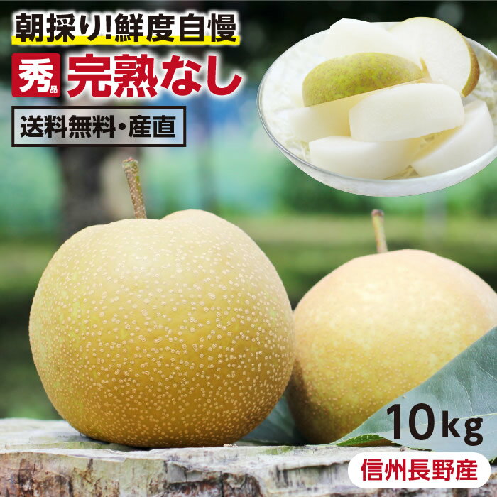 【送料無料】<strong>長野</strong>県産 梨 10kg 秀品 幸水 豊水 二十世紀 南水 完熟 <strong>なし</strong> 選べる品種｜和梨 こだわりの甘い梨 おいしい梨 旬の果物 お中元 ギフト 朝採り当日出荷 お取り寄せ フルーツ 産地直送 贈答用 プレゼント 国産 瑞々しい梨 農家限定 信州産